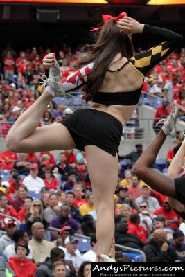 Maryland Terrapins Cheerleader