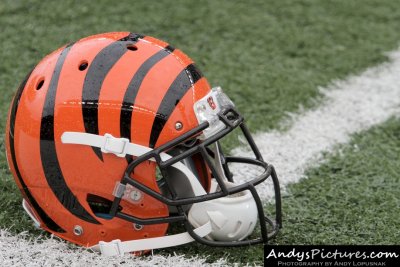 Cincinnati Bengals football helmet