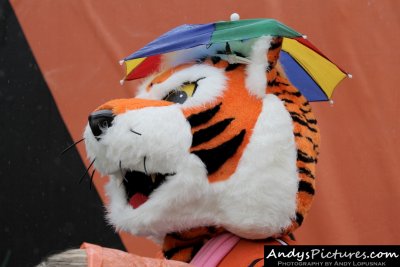 Cincinnati Bengals mascot Who Dey