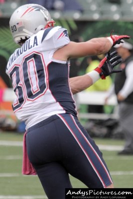 New England Patriots WR Danny Amendola