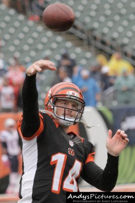 Cincinnati Bengals QB Andy Dalton