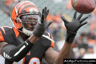 Cincinnati Bengals safety George Iloka