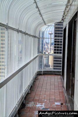 View from Smith Tower