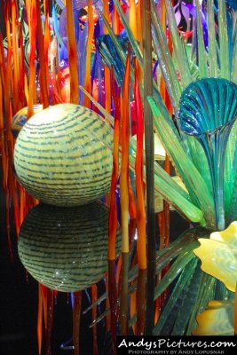 Chihuly Garden and Glass