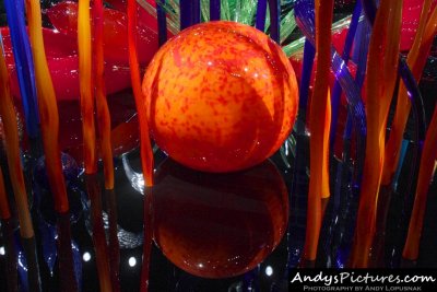 Chihuly Garden and Glass