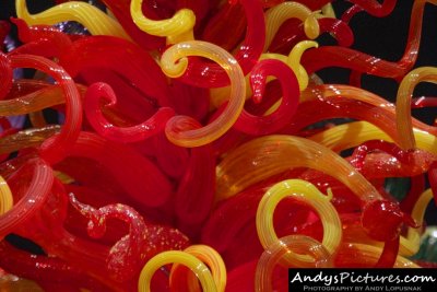 Chihuly Garden and Glass