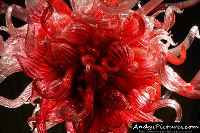 Chihuly Garden and Glass