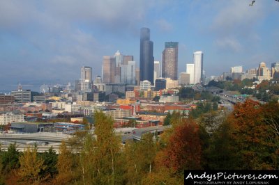 View from Beacon Hill