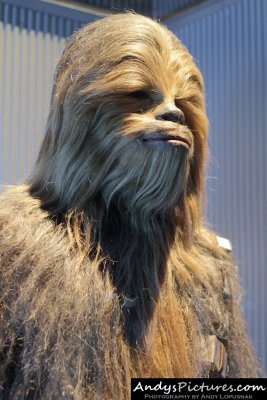 Chewbacca