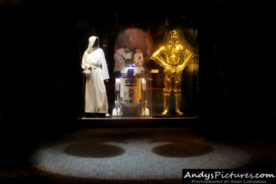 Princess Leia, R2-D2 & 3-CPO