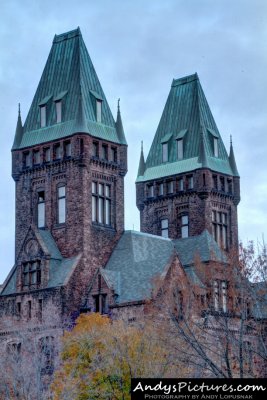 Buffalo Insane Asylum