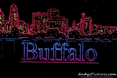 Buffalo at Night