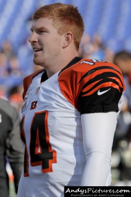 Cincinnati Bengals QB Andy Dalton