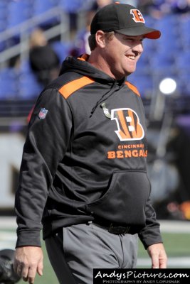 Cincinnati Bengals offensive coordinator Jay Gruden