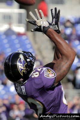 Baltimore Ravens WR Torrey Smith