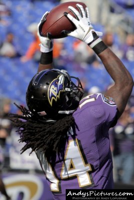 Baltimore Ravens WR Marlon Brown