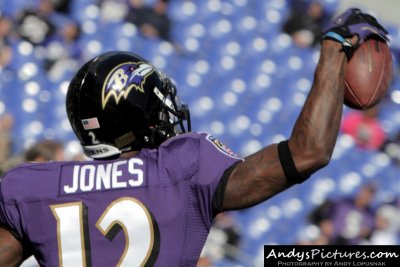 Baltimore Ravens WR Jacoby Jones