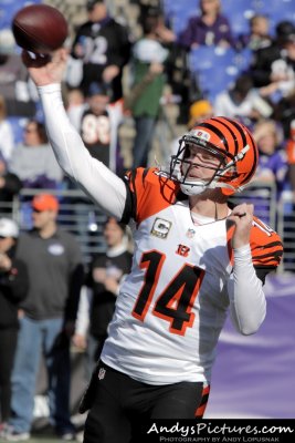 Cincinnati Bengals QB Andy Dalton