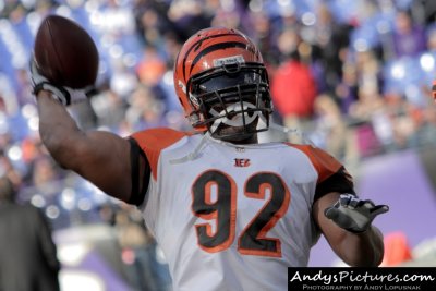 Cincinnati Bengals LB James Harrison