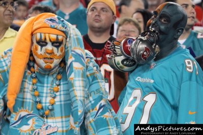 Miami Dolphins fans