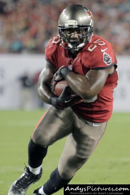 Tampa Bay Buccaneers RB Mike James