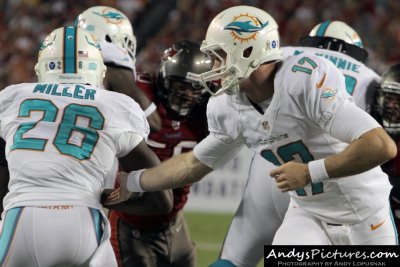 Miami Dolphins QB Ryan Tannehill