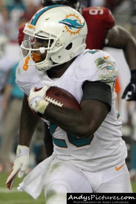 Miami Dolphins RB Lamar Miller