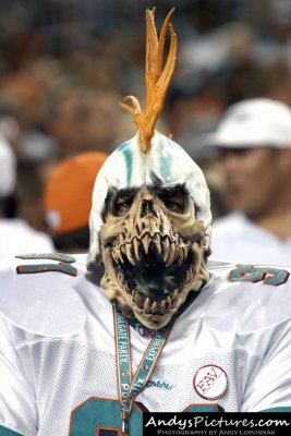 Miami Dolphins fan