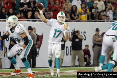 Miami Dolphins QB Ryan Tannehill