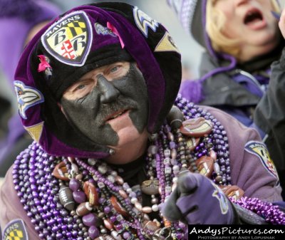 Baltimore Ravens fan