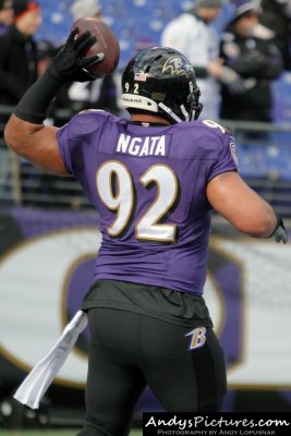 Baltimore Ravens NT Haloti Ngata