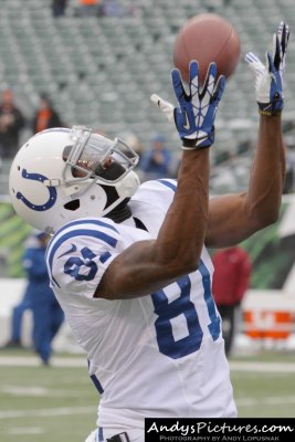 Indianapolis Colts WR Darrius Heyward-Bey
