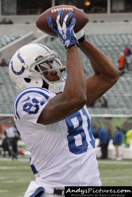 Indianapolis Colts WR Darrius Heyward-Bey