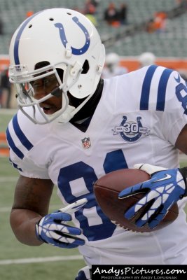 Indianapolis Colts WR Darrius Heyward-Bey