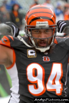 Cincinnati Bengals DT Domata Peko