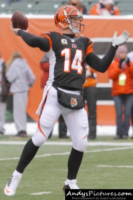 Cincinnati Bengals QB Andy Dalton