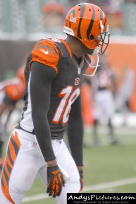 Cincinnati Bengals WR A.J. Green