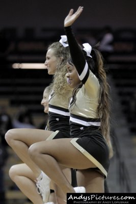 Missouri Tigers cheerleader