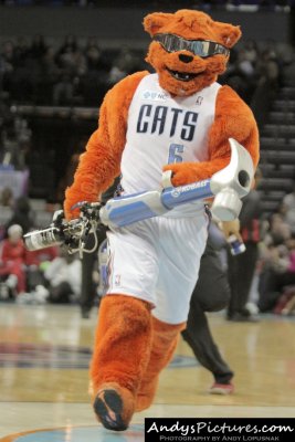 Charlotte Bobcats mascot