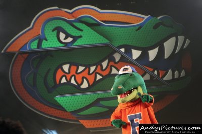 Florida Gators mascot