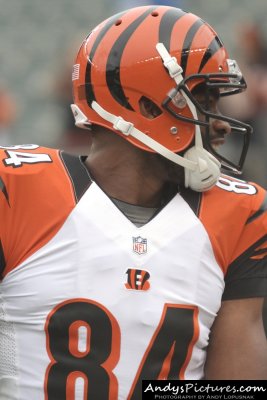 Cincinnati Bengals TE Jermaine Gresham