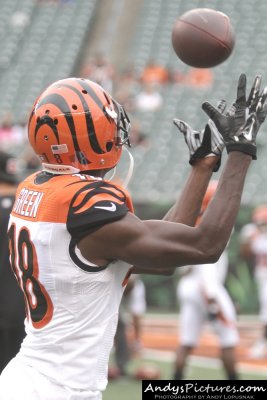 Cincinnati Bengals WR A.J. Green