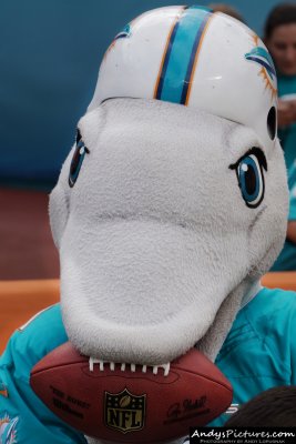 Miami Dolphins mascot TD