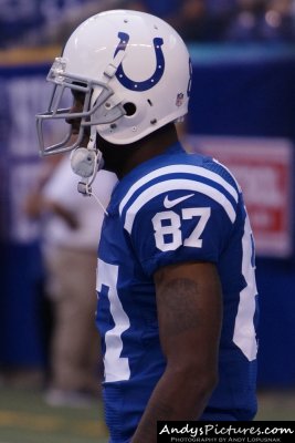 Indianapolis Colts WR Reggie Wayne