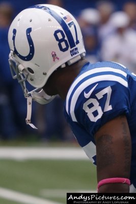 Indianapolis Colts WR Reggie Wayne