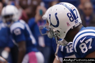 Indianapolis Colts WR Reggie Wayne