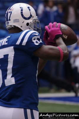 Indianapolis Colts WR Reggie Wayne