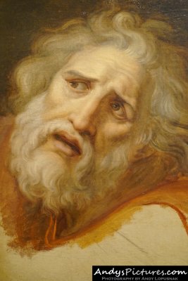 Head of Laocoon by Andrea Appiani