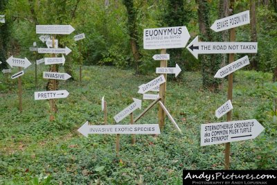 A Flock of Signs by Kim Beck