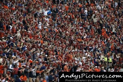 Auburn Tigers fans